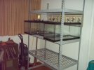 reptile room f.jpg