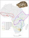 Fig-S1-Distribution-ranges-of-the-savannah-taxa-of-Kinixys-and-sampling-sites-ranges.ppm.png