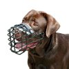 New-2011-wire-labrador-dog-muzzle_LRG-1707902974.JPG