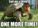 call_me_a_turtle_one_more_time____by_i_like_memes-d5m03c2.jpg