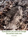Hydrophobic soil4-Stibolt.jpg