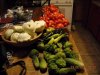 veggies from human garden also in turtle garden (640x480) (640x480).jpg