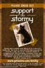 Stormy poster.jpg