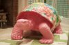 lilly pulitzer tortoise in lilly.jpg