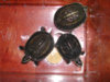 ImageUploadedByTortoise Forum1401679300.156652.jpg