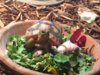 ImageUploadedByTortoise Forum1406065590.250972.jpg