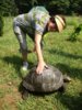 ImageUploadedByTortoise Forum1407041437.205036.jpg