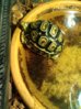 ImageUploadedByTortoise Forum1407848205.166444.jpg