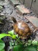 ImageUploadedByTortoise Forum1411169857.728842.jpg