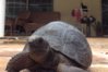 ImageUploadedByTortoise Forum1411326156.176189.jpg