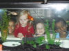 kids fish tank.jpg