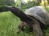 ImageUploadedByTortoise Forum1413754183.265138.jpg