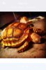 ImageUploadedByTortoise Forum1414131476.509635.jpg