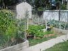 smaller garden plot.jpg