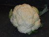 white caulifllower.jpg