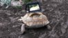 ipad tort.jpg