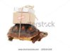 overstock tortoise.jpg