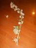 dried hollyhock stalk.jpg