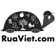 ruaviet.com