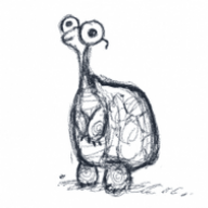 the_bookish_tortoise