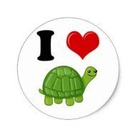 iloveturtles88