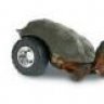 100mph tortoise