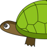 tortoisegirl5