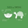 TortoiseFan89