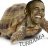 Obama Turtle