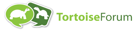 Wanted: Hermann's Tortoise in Canada | Tortoise Forum