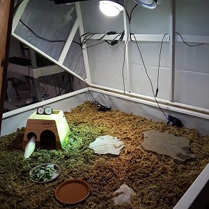 New Indoor Enclosure