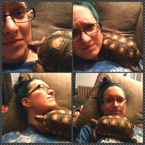 Tortoise snuggles
