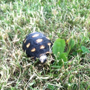 Enjoying the park!