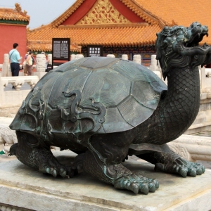 Tortoise in Imperial Garden