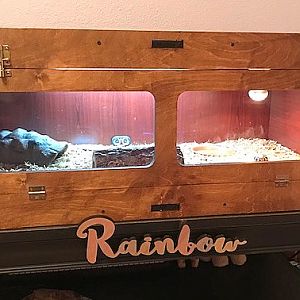 Rainbow's Enclosure