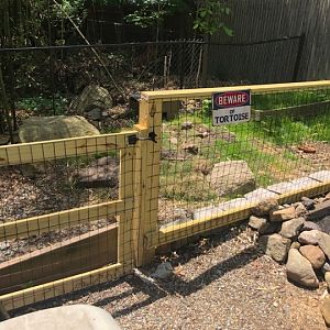 My enclosures fence