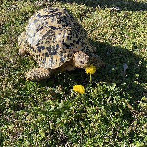 Enjoying the nice weather!!