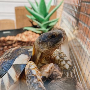 Enjoying her little log