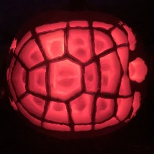 Leopard Toroise Jack-o-Lantern!