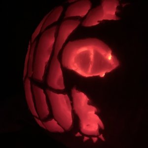 Leopard Tortoise Jack-o-Lantern 2