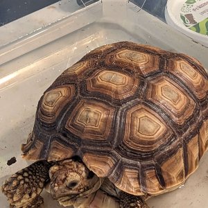 Steve taking a soak