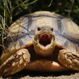 JEFF YAWN (time lapse)