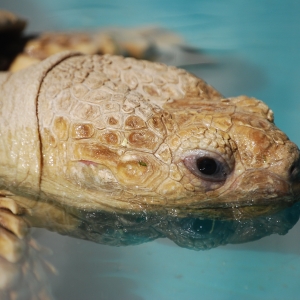 A SOAK AND A DRINK!  MONSTRO!  2015 FEB 09