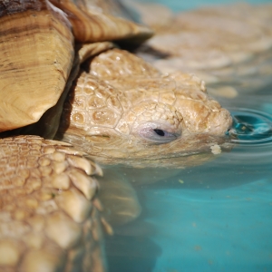 A SOAK AND A DRINK!  MONSTRO!  2015 FEB 09