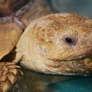 A SOAK AND A DRINK!  MONSTRO!  2015 FEB 09