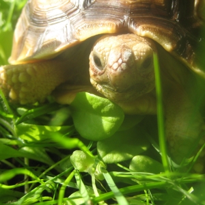 Sunny Saturday Snacks