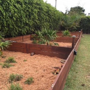 Tortoise pens