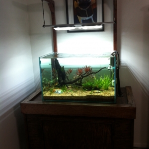 40 gallon rimless