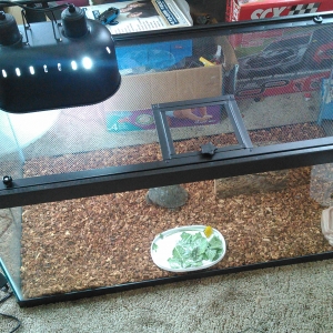 his new indoor enclosure