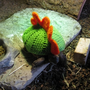 Mossy Tortoise Stegosaurus Costume!